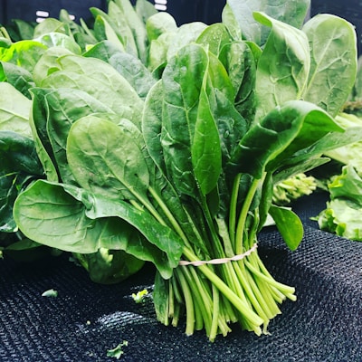 category-Leafy Vegetables