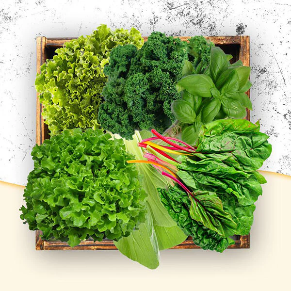 Leafy Vegetables