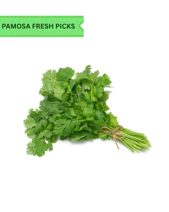 Coriander