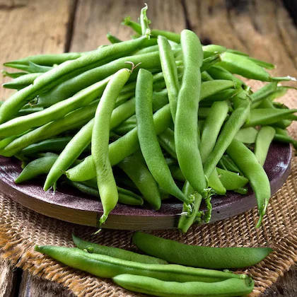 French Beans