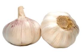 Garlic