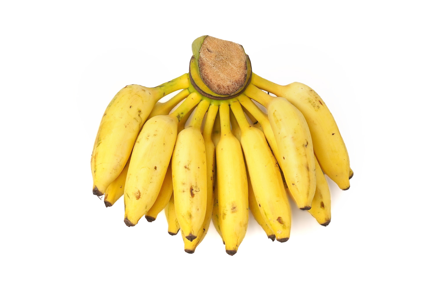 Ilayachi Banana