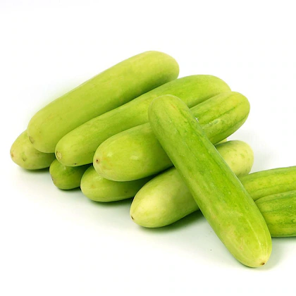 Indian Cucumber